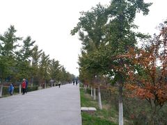 景点-汉景帝阳陵博物院