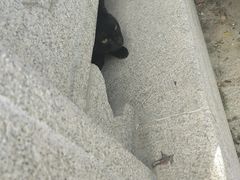 -乌山风景区