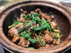 沙姜乳鸽-五邑人家(江门店)