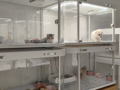 -翊宠yipet猫狗购宠庄园