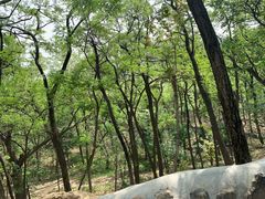 -阳台山自然风景区