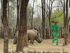 -北京野生动物园