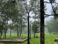 -白草畔自然风景区