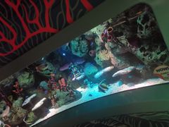 -沈阳海洋探索中心