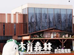 -黄海国家森林公园