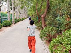 -太阳宫公园
