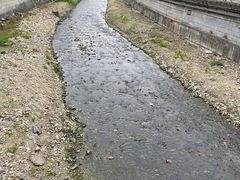 -老味道1992(武当山店)