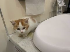 -萌兽医馆·犬猫专科·眼科中心·宠物医院(朝阳门分院)