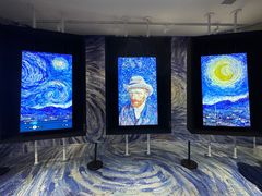 -上海梵高星空艺术馆(南京路旗舰店)