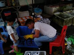 -南沙十九涌渔人码头-南门