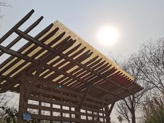 -白鹭湾湿地公园