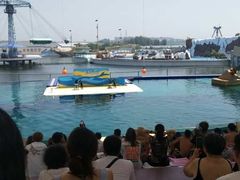 -秦皇岛乐岛海洋王国