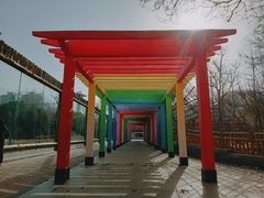 彩虹走廊-郑州市动物园
