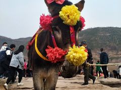 -陕西黄河壶口瀑布旅游区