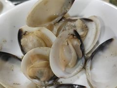 -顺德哥卜卜贝(旗舰店)