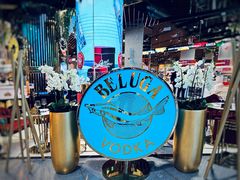 -谢列梅捷沃国际机场