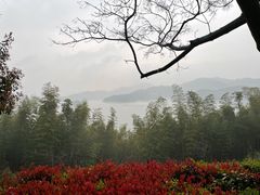 -天目湖涵田半山温泉