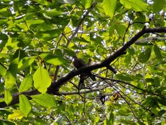 -河南省黄河迎宾馆