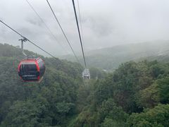 -洛阳白云山景区