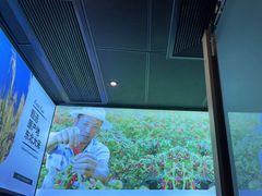 -老乡鸡(上海品尊国际中心店)