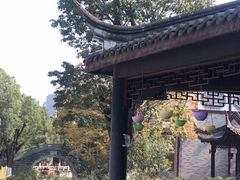 -龙潭水乡