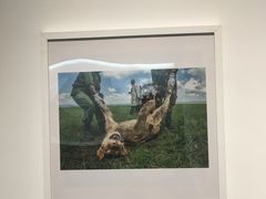 -浙江自然博物院(杭州馆)