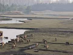 -溱湖国家湿地公园