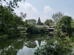 -西溪国家湿地公园