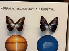 -天津自然博物馆