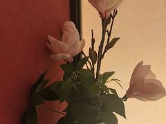 -世博源公馆·本帮融合菜·主题包厢·江景餐厅