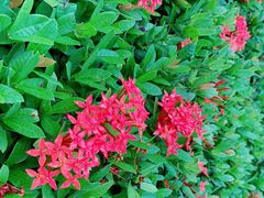 -白沙门生态公园