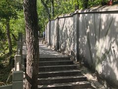 -上海佘山国家森林公园西佘山园