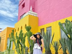 -漳州滨海火山岛自然生态风景区