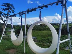 -头塘庄园(农家乐)