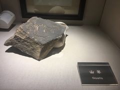 -宁夏博物馆