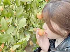 -南通洲际绿博园