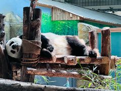-青藏高原野生动物园