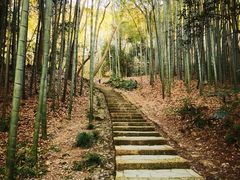 -杭州黄龙洞