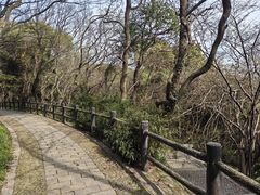 -苏州上方山国家森林公园
