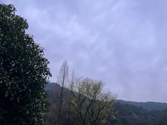 -灵顺寺