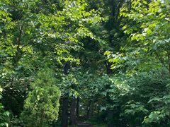 -镇江市南山风景名胜区竹林景区