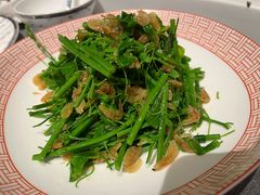 -柿合缘新京菜(国金中心商场店)