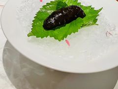 -觀芷隐轩