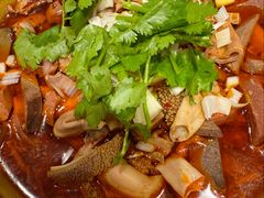 -凯鸽酒楼(操场城店)