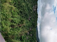 -三亚亚龙湾人间天堂鸟巢度假村