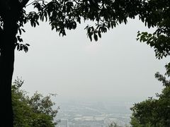 -惠山国家森林公园