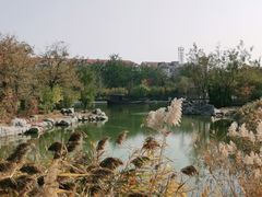 -绿岛公园(滨海新区)