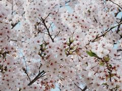 -不觉晓CAMPING(上海迪士尼营地店)