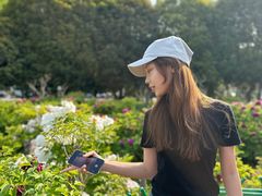 -河南省黄河迎宾馆