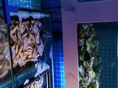 -花西亭·海鲜自助餐厅(瑞城名人酒店)